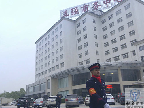 五强集团3